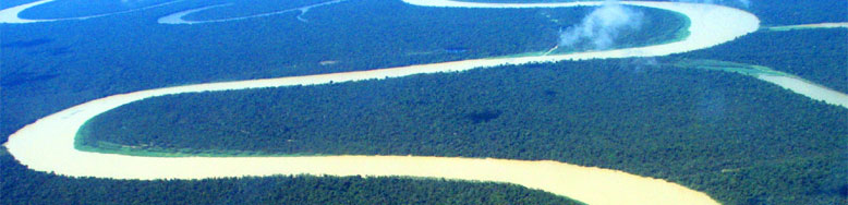 Floresta Amazonica - Amazonas